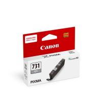 Canon CLI-731GY 灰色色墨水盒 標準裝